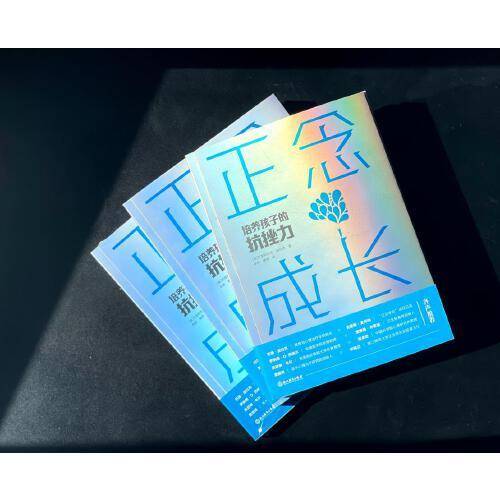 正念成长：培养孩子的抗挫力