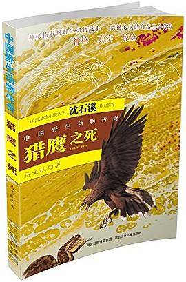中国野生动物传奇-库木库勒盆地的人猫之缘