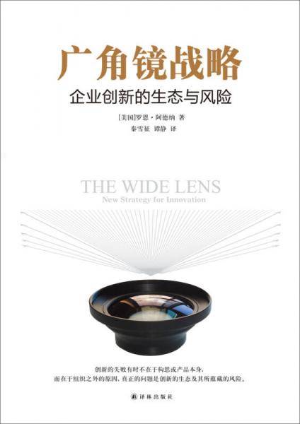 广角镜战略