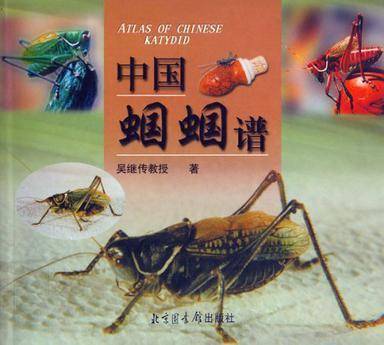 中国蝈蝈谱