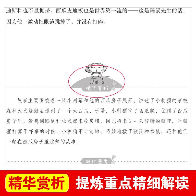 小布头奇遇记/爱阅读教导读版中小学课外阅读丛书青少版