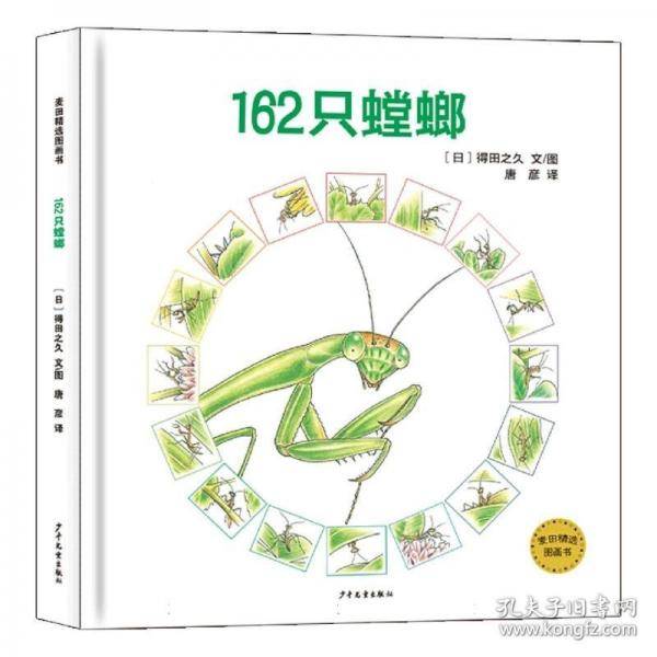 麦田精选图画书162只螳螂