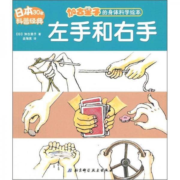 左手和右手