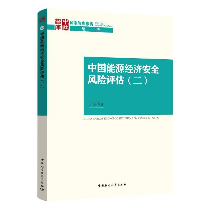 中国能源经济安全风险评估