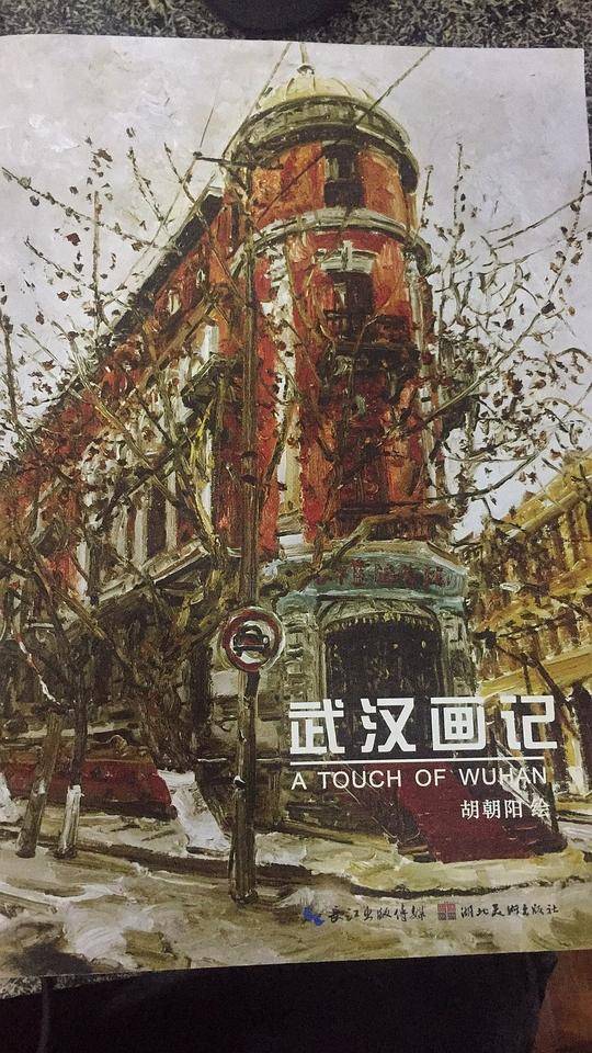 武汉画记