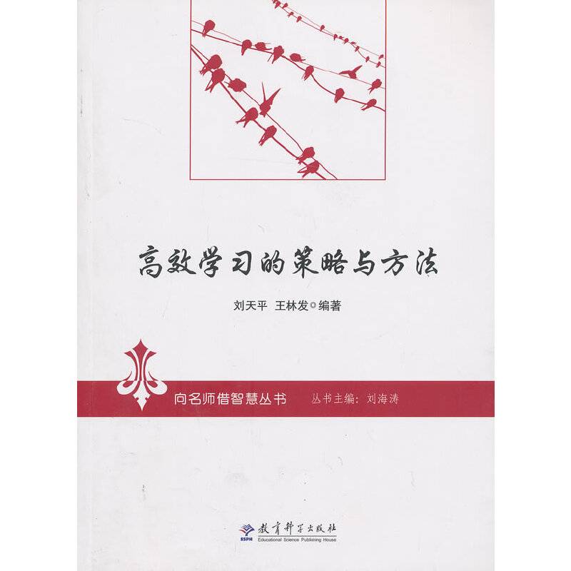 向名师借智慧丛书：高效学习的策略与方法
