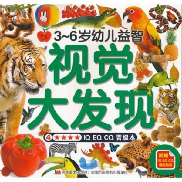 视觉大发现4