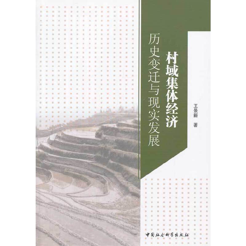 村域集体经济：历史变迁与现实发展