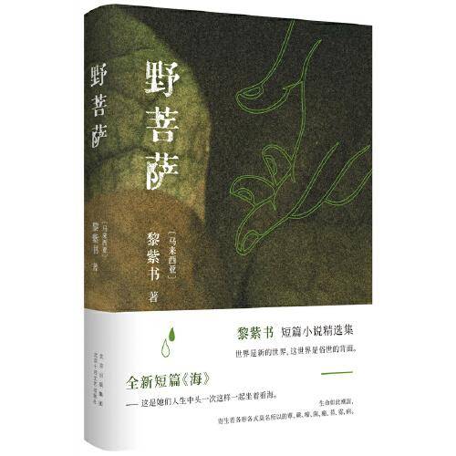 野菩萨（黎紫书短篇小说精选集，特别收入全新短篇《海》，王德威倾力推荐）