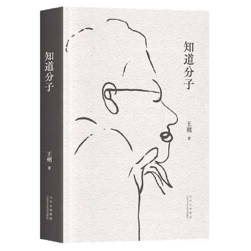 知道分子（王朔散文集全新再版。批评成风，流言才不会有空间。）