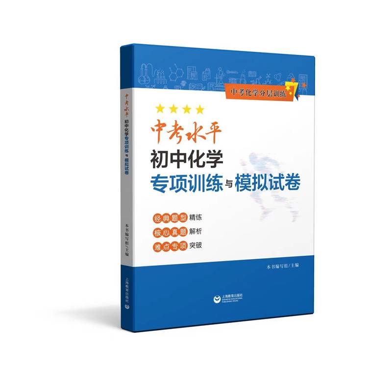 中考水平初中化学专项训练与模拟试卷