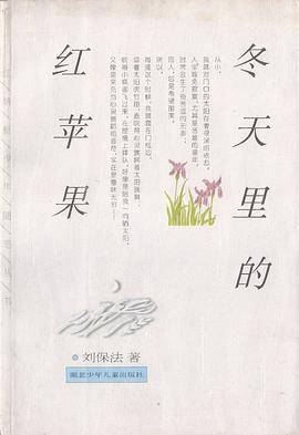 冬天里的红苹果