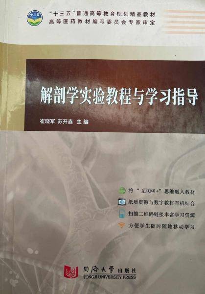解剖学实验教程与学习指导