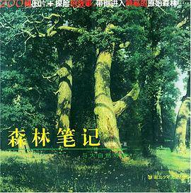 森林笔记