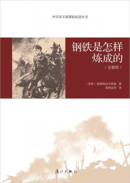 中学语文新课标必读丛书：钢铁是怎样炼成的（完整版）