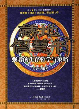 藏地智慧书