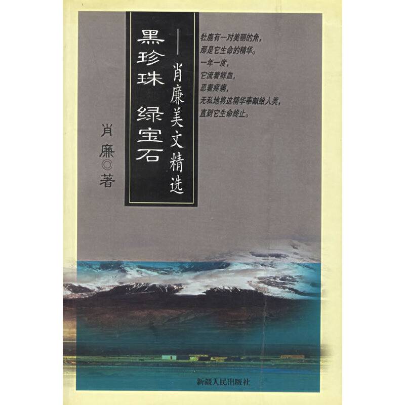 黑珍珠 绿宝石