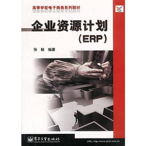 企业资源计划 (ERP)
