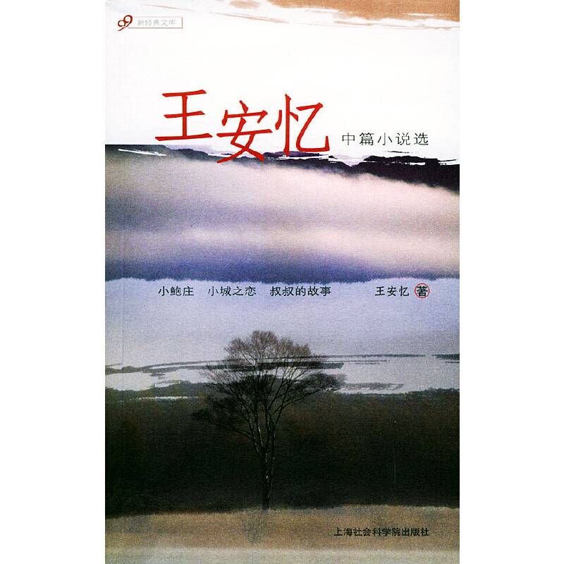 王安忆中篇小说选