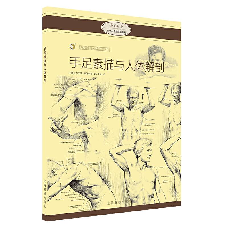 西方绘画技法经典教程·手足素描与人体解剖