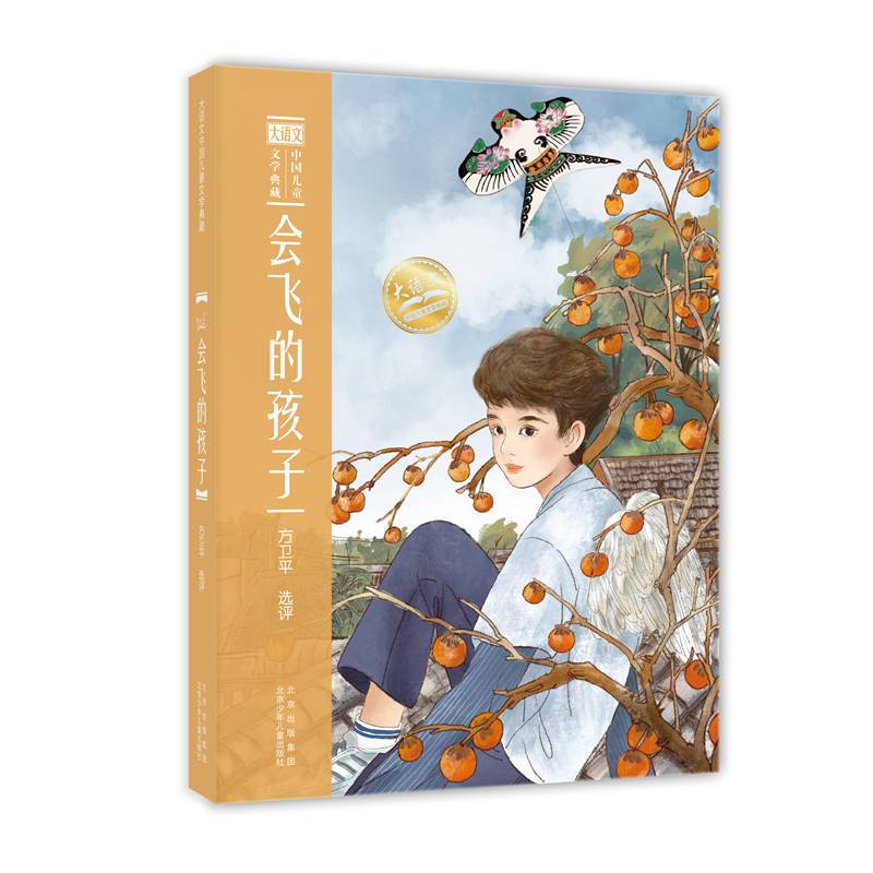 大语文中国儿童文学典藏  会飞的孩子
