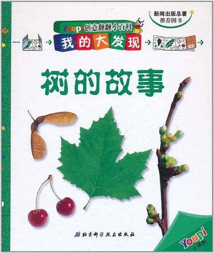 树的故事