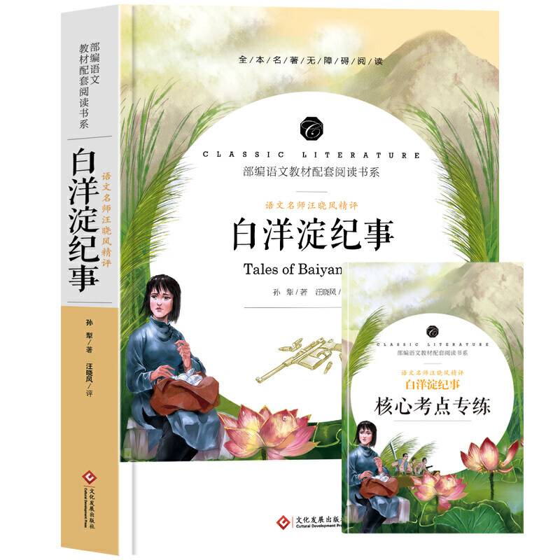 白洋淀纪事 教育部统编语文教材配套阅读书系 全本名著无删减无障碍中小学生课外书阅读