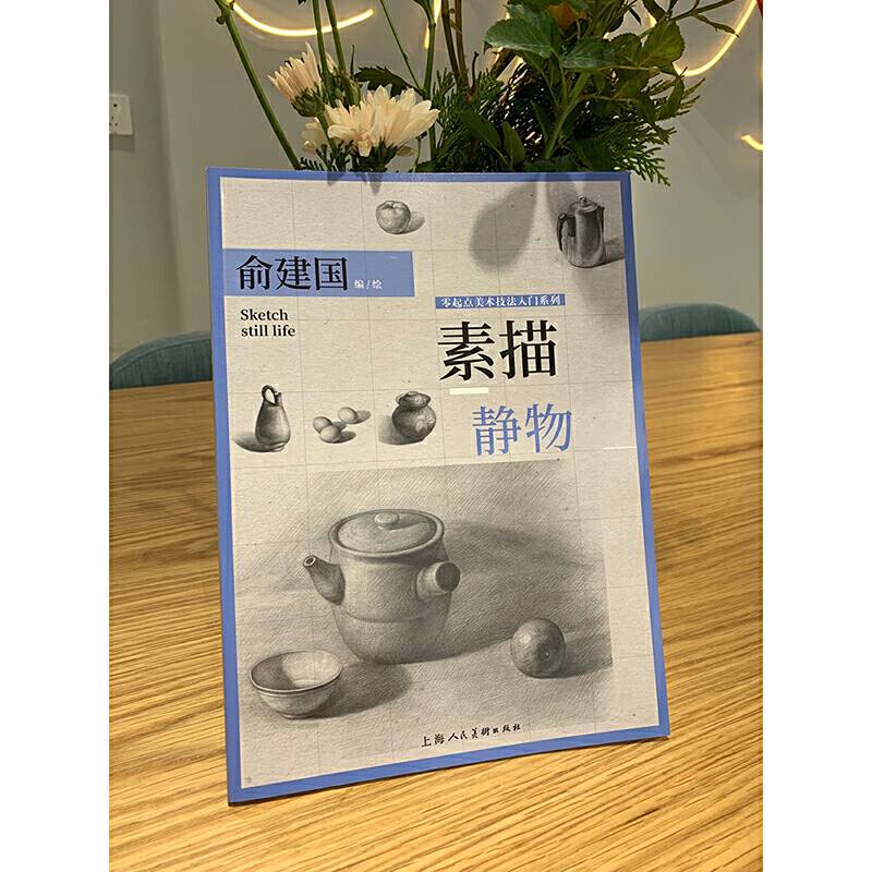 素描·静物——零起点美术技法入门系列
