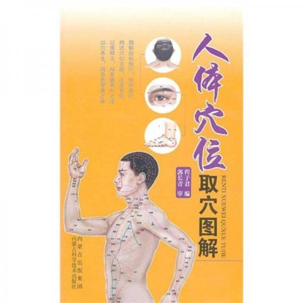 人体穴位取穴图解