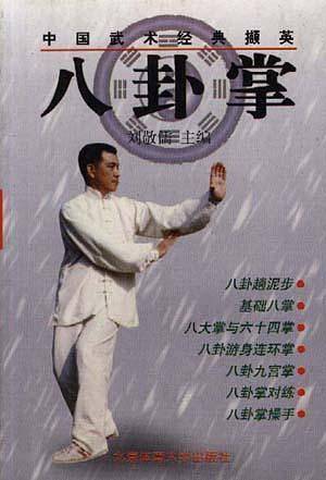 中国武术经典撷英