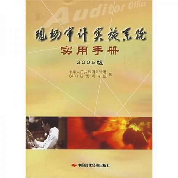 现场审计实施系统实用手册2005版