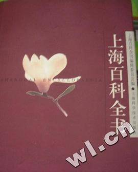 上海百科全书