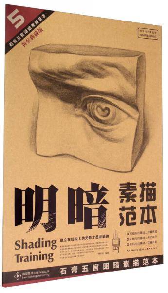 石膏五官明暗素描范本