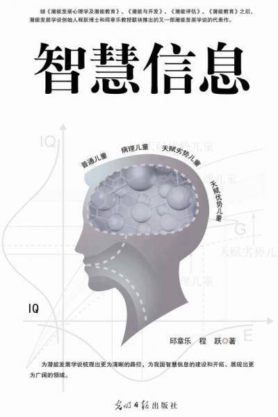 智慧信息