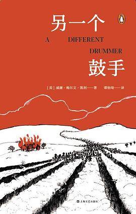 另一个鼓手