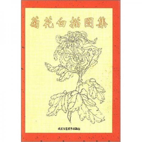 菊花白描图集/中国传统工艺美术资料丛书