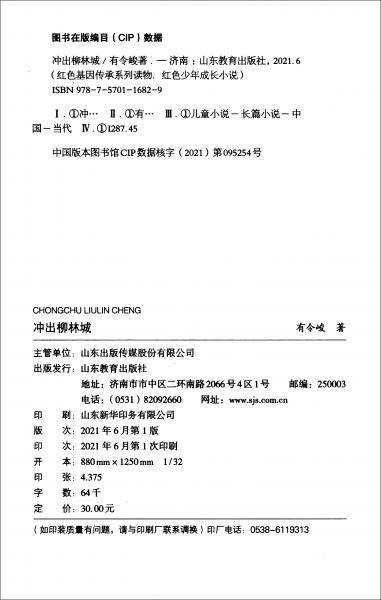 冲出柳林城/红色少年成长小说