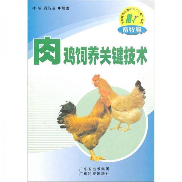 肉鸡饲养关键技术