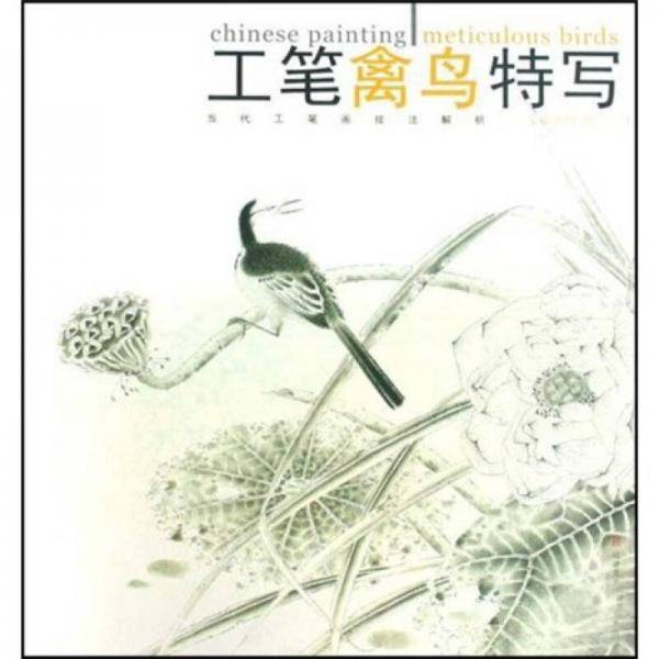 工笔禽鸟特写