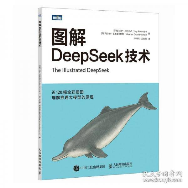 图解DeepSeek技术