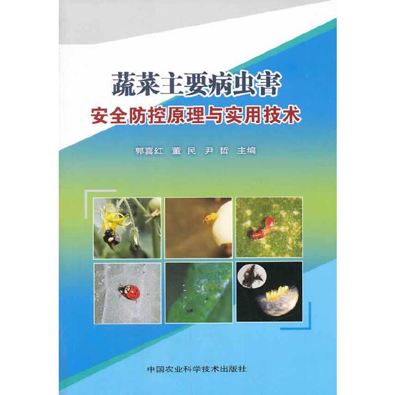 蔬菜主要病虫害安全防控原理与实用技术