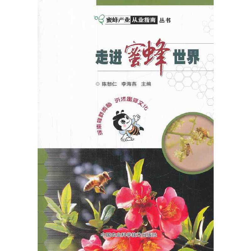 走进蜜蜂世界