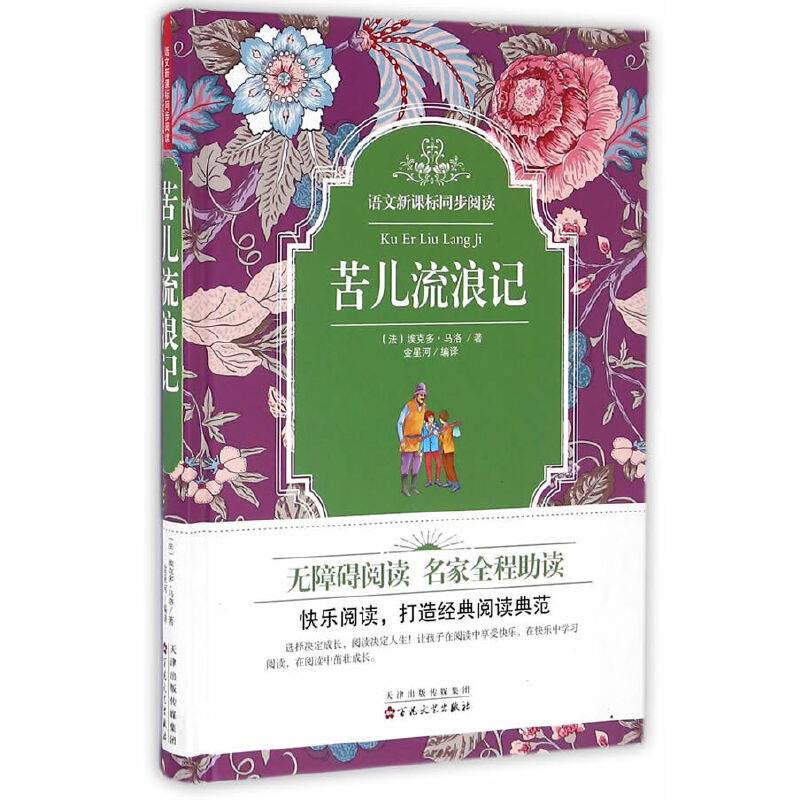 苦儿流浪记