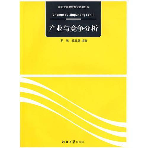 产业与竞争分析