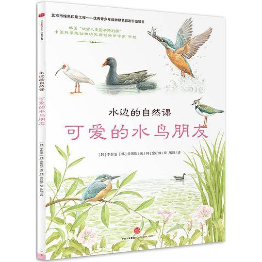水边的自然课：可爱的水鸟朋友