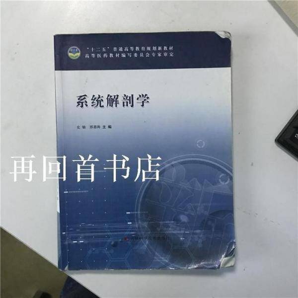 系统解剖学
