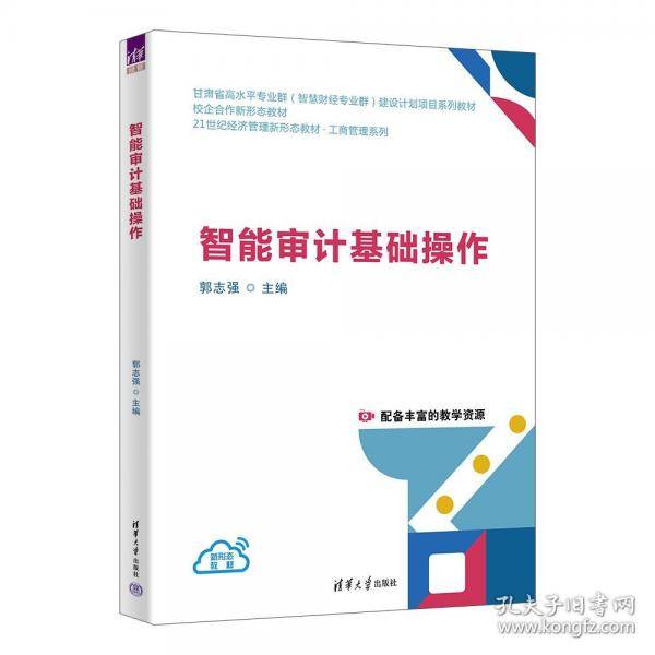 智能审计基础操作
