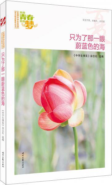 我的青春我的梦・夏：只为了那一眼蔚蓝色的海
