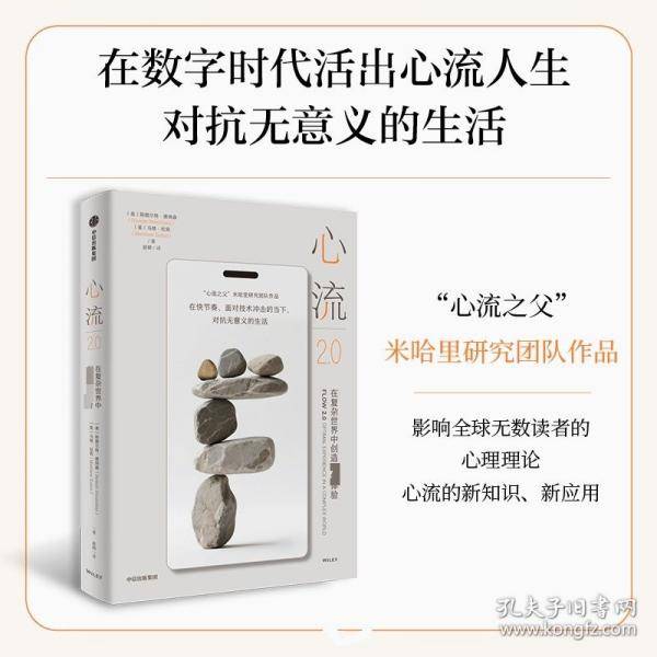 心流2.0 在复杂世界中创造最优体验
