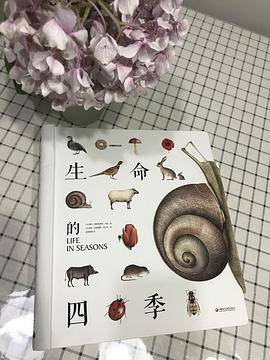 纸狐狸绘本馆・生命的四季